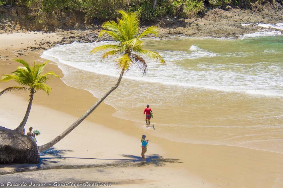 Imagem de um surfista chegando e uma moça na sombra do coqueiro.